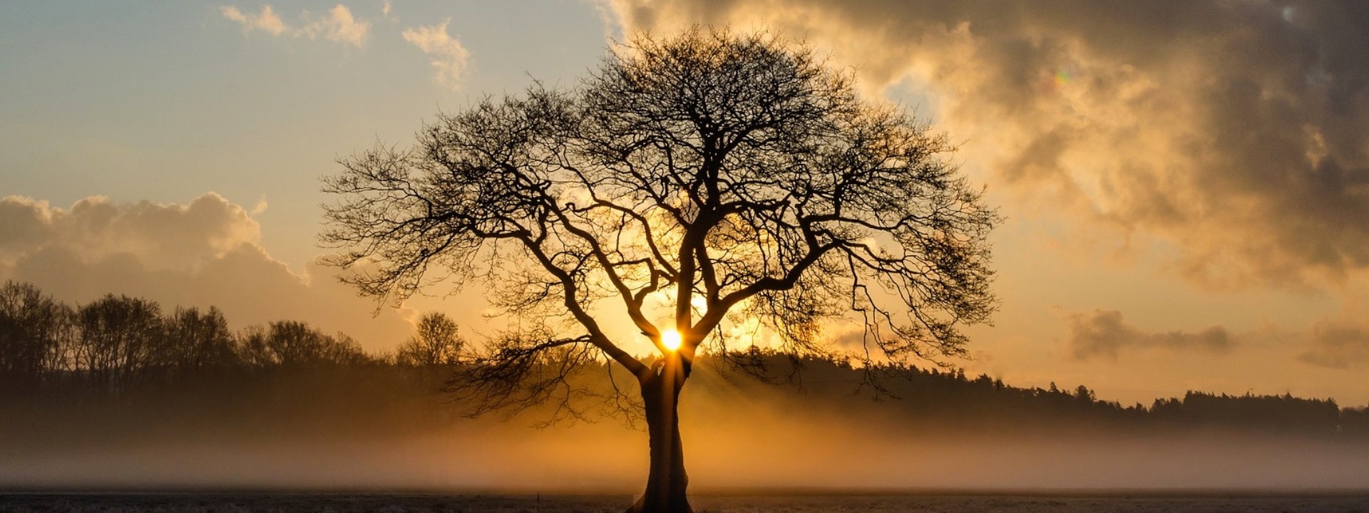 Climate Change Hub header